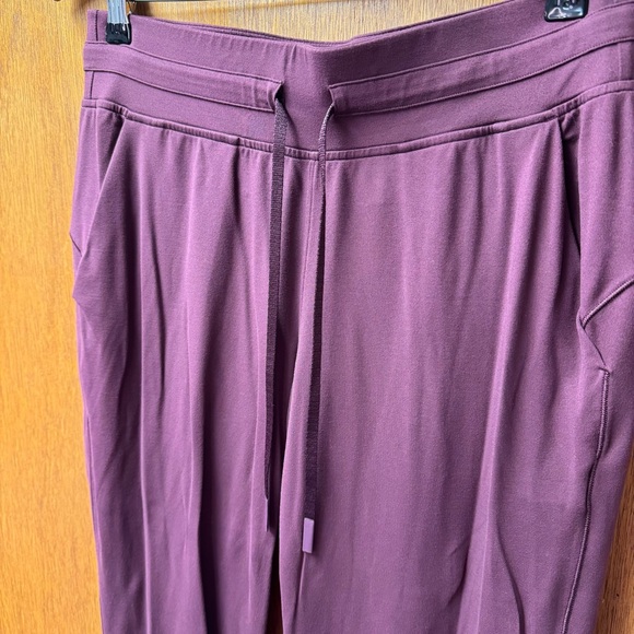 Lululemon Ready To Rulu Joggers Pants *29" Inseam Cassis Purple 10 - Picture 6 of 10